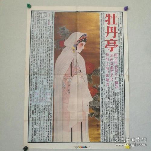 如何考国际驾照怎么申请流程